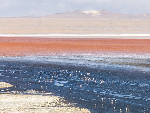 04 Salars et lagunas