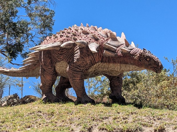 Pistes de dinosaures à Sucre en Bolivie