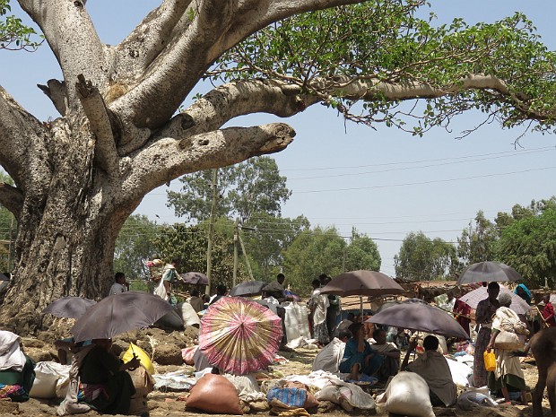 10 Marché inconnu