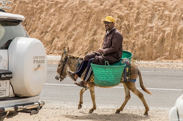 10 Imsouane Tidsi argan